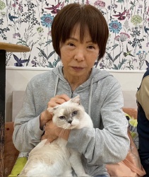 (カントール　スコティッシュフォールド).JPG