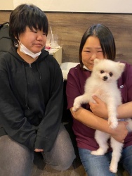 (ぎんじろう　ポメラニアン).JPG
