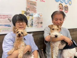 (ハッセン　ヨークシャーテリア).JPG