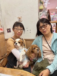 (ウィッティ　キャバリアキングチャールズスパニエル).JPG