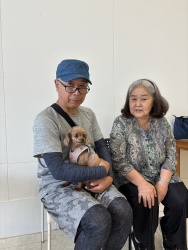 (ハニー　トイプードル).jpg