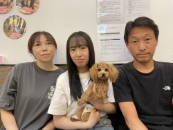 (シュナッキー　トイプードル).JPG