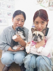 (ユウカン　フレンチブルドッグ).JPG