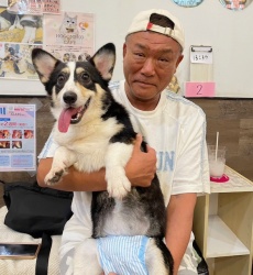(オルオル　ウェルシュコーギーペンブローク).JPG