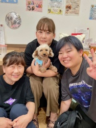 (トランピリ　トイプードル).JPG