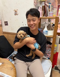 (ニコマル　トイプードル).JPG