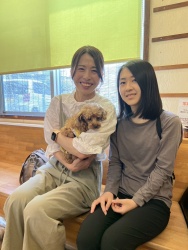 (ファスル　トイプードル).JPG
