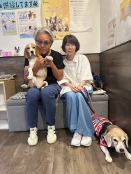 (ノッチェ　ビーグル).JPG