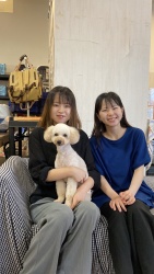 (アケビ トイプードル).jpg