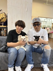 (びーびー　ロングコートチワワ).jpg