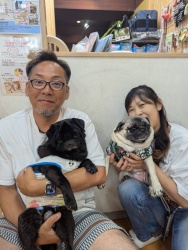 (ルミエール　パグ).JPG