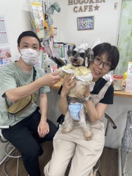 (ウペポ　ミニチュアシュナウザー).JPG