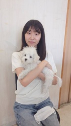 (ごんた マルチーズ).jpg