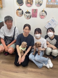 (ノアナル　トイプードル).JPG