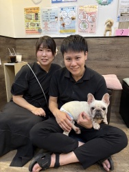 (だいなごん　フレンチブルドッグ).JPG
