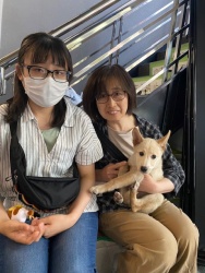 (グリッター　雑種犬).JPG