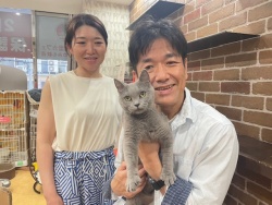 (たきゅ　シャルトリュー).JPG
