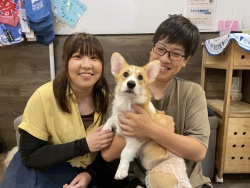 (オリアナ　ウェルシュコーギーペンブローク).JPG