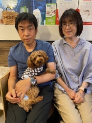 (ポイフル　トイプードル).JPG