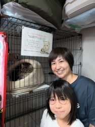 (きいちゃん　マンチカン).jpg