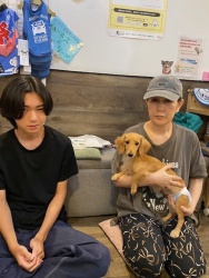 (ロルフ　ミニチュアダックスフンド).JPG