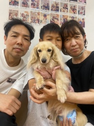 (ミモモ　ミニチュアダックスフンド).JPG
