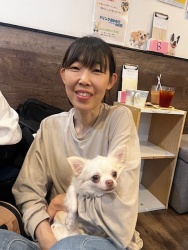 (セイベル　ロングコートチワワ).JPG