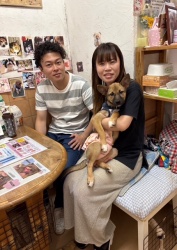 (メロロン　雑種犬).JPG