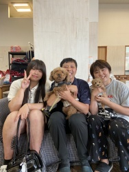 (ミキー (マルチーズとトイプードル)).jpg