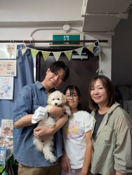 (ピーター　トイプードル).jpg