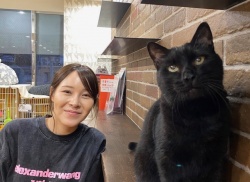 (ウェイブ　雑種猫).JPG