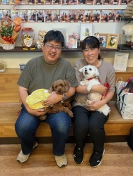(りったん　トイプードル).JPG