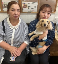 (ファンターネ　ミニチュアダックスフンド).JPG