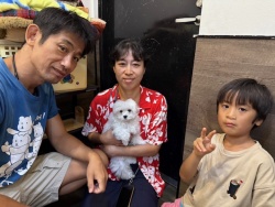 (フィルン　マルチーズ).JPG