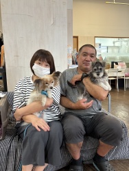 (チカコ　ミニチュアシュナウザー).jpg
