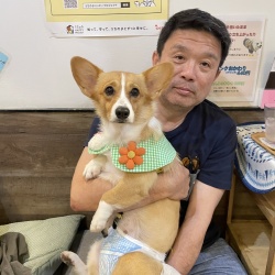 (ココン　ウェルシュコーギーペンブローク).JPG