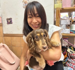 (べにばな　ミニチュアダックスフンド).JPG