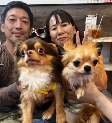 (しろまる　ロングコートチワワ).JPG