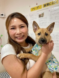 (ウインク　雑種犬).JPG