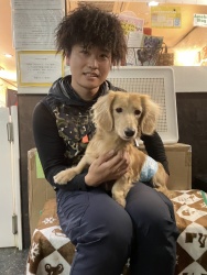 (タイヤン　ミニチュアダックスフンド).JPG