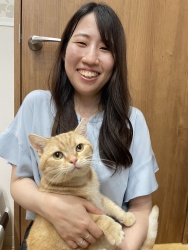 (ゆうべに　アメリカンショートヘア).JPG