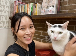(ハムテル　雑種猫).JPG