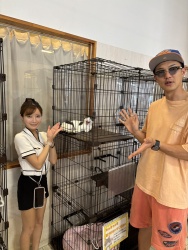 (ヨーグルト　雑種猫).jpg
