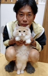 (にゃるる　ノルウェージャンフォレストキャット).JPG
