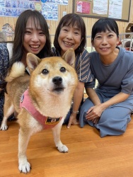 (ラッセン　柴犬).JPG