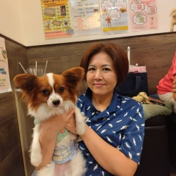 (シャムン　パピヨン).JPG