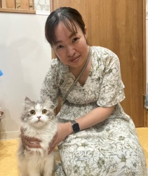 (セラス　スコティッシュフォールド).JPG