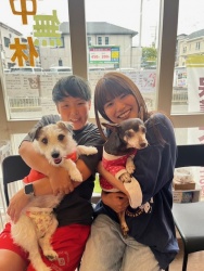 (フィルー　ミニチュアピンシャー).JPG