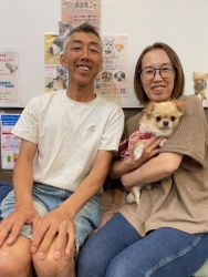 (パンプキン　ロングコートチワワ).JPG