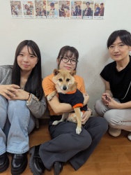 (ひらめき　柴犬).JPG